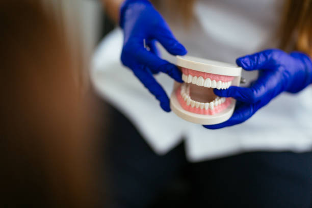 Reliable Hayti, MO Holistic Dental Care Services Solutions